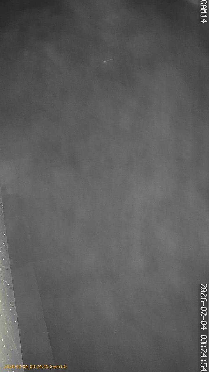 thumbnail_20260204032455