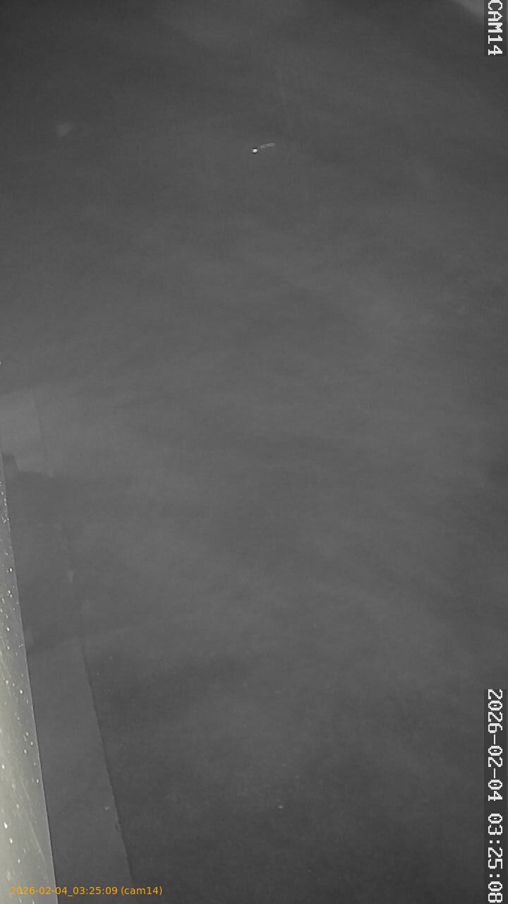 thumbnail_20260204032509