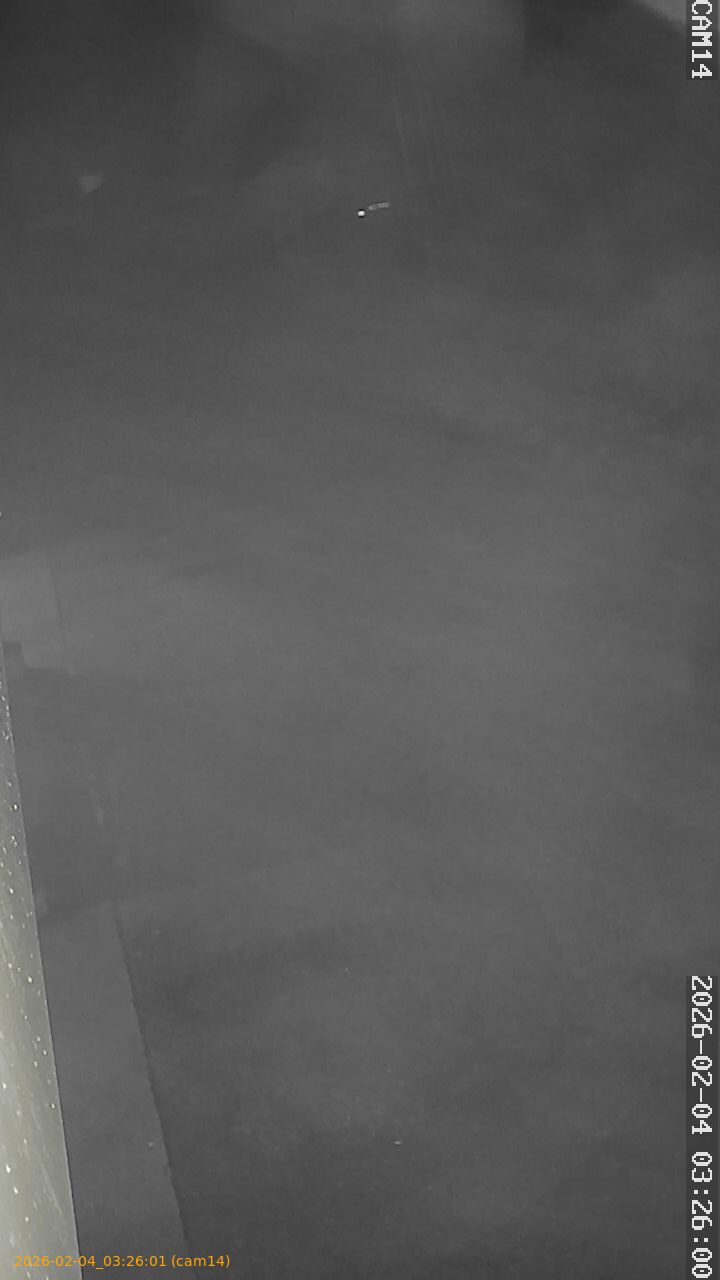 thumbnail_20260204032601