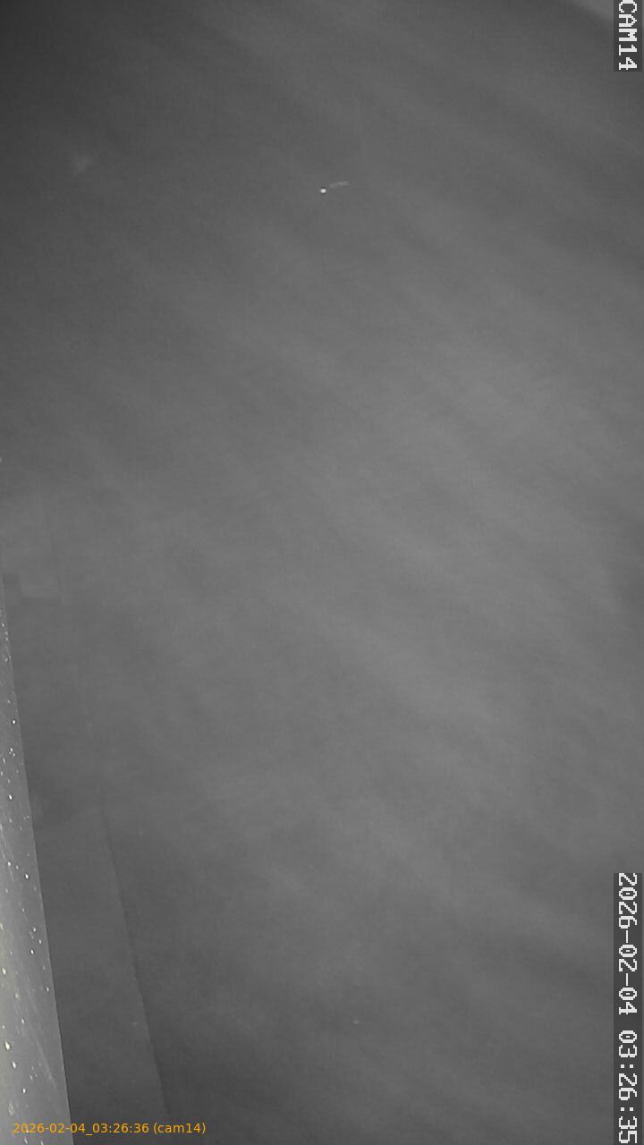 thumbnail_20260204032636