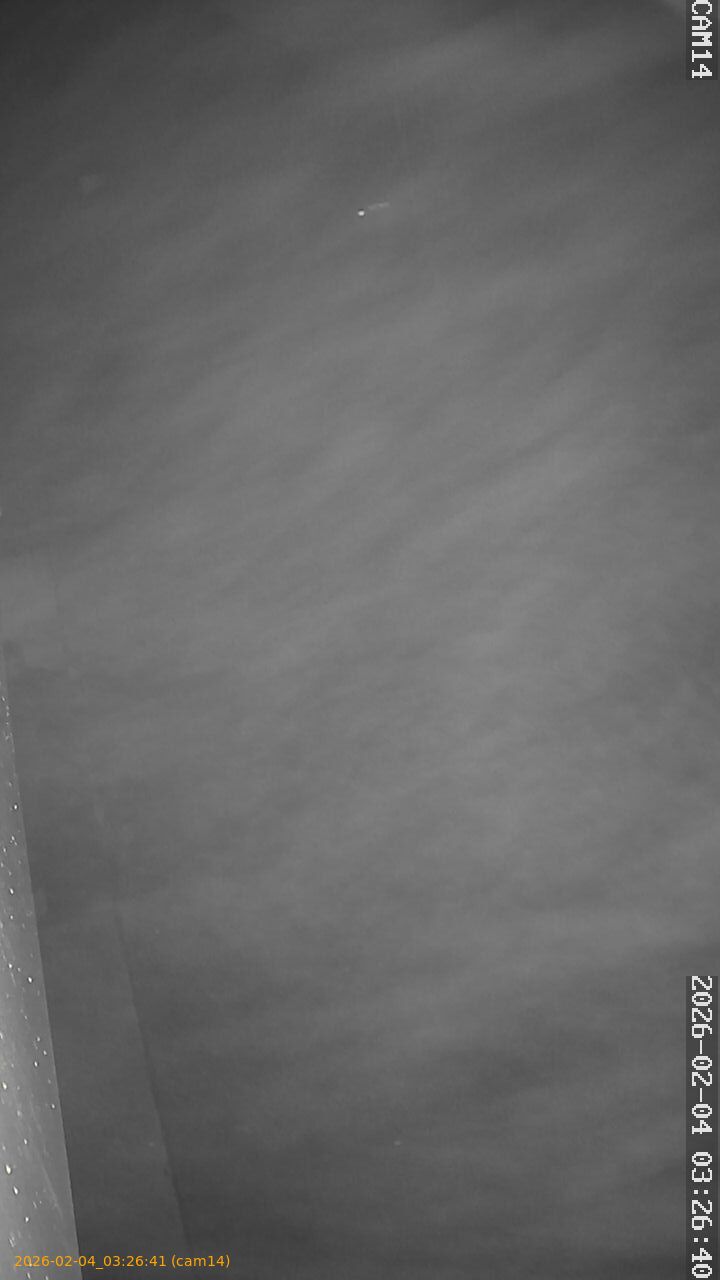 thumbnail_20260204032641