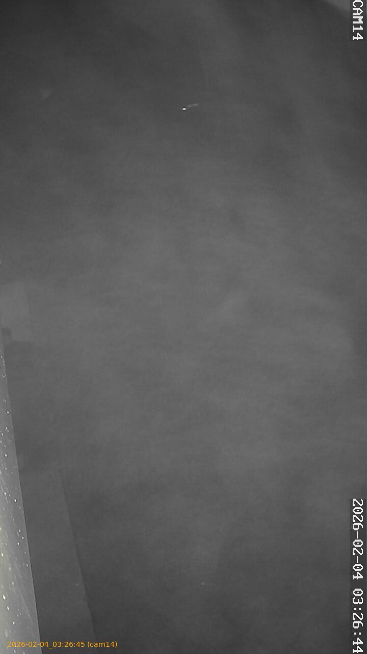 thumbnail_20260204032645