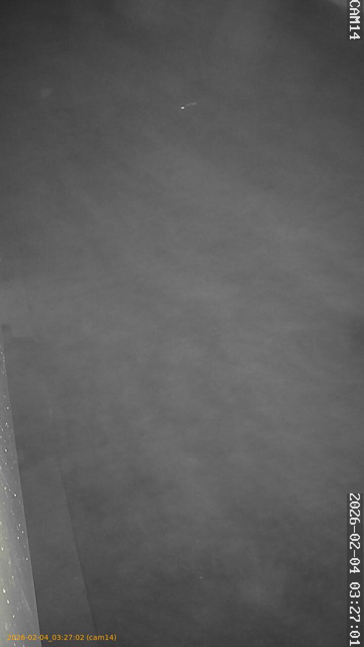 thumbnail_20260204032702