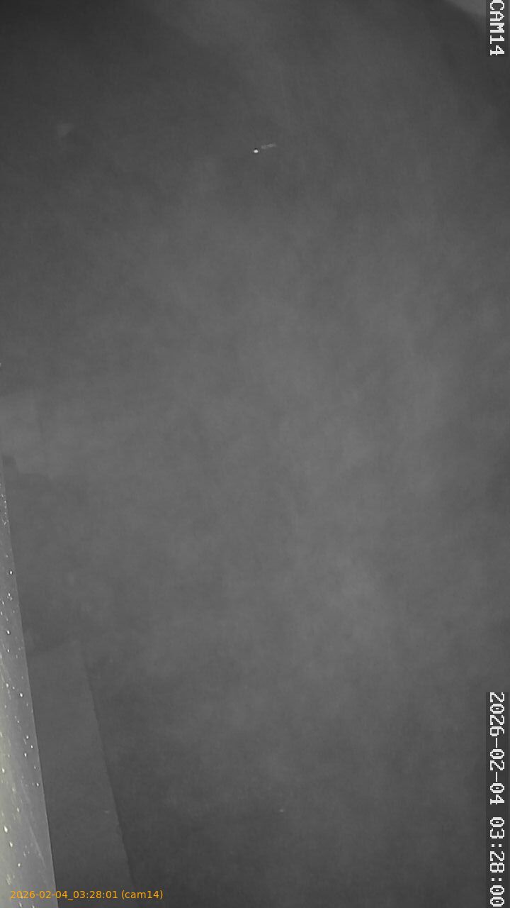 thumbnail_20260204032801