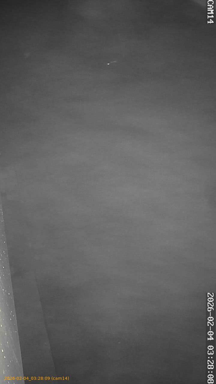 thumbnail_20260204032809