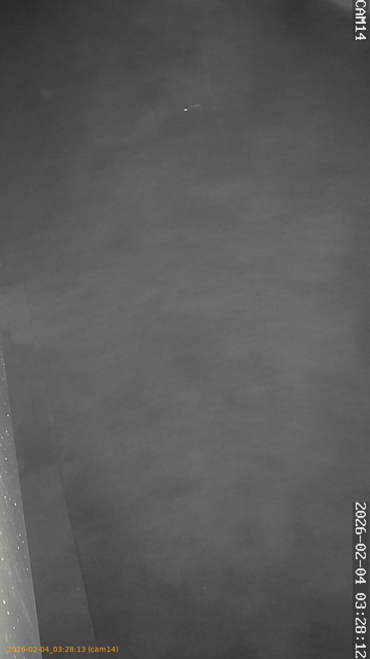 thumbnail_20260204032813