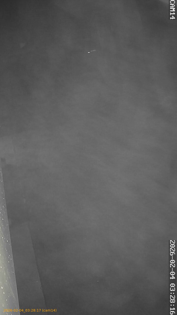 thumbnail_20260204032817