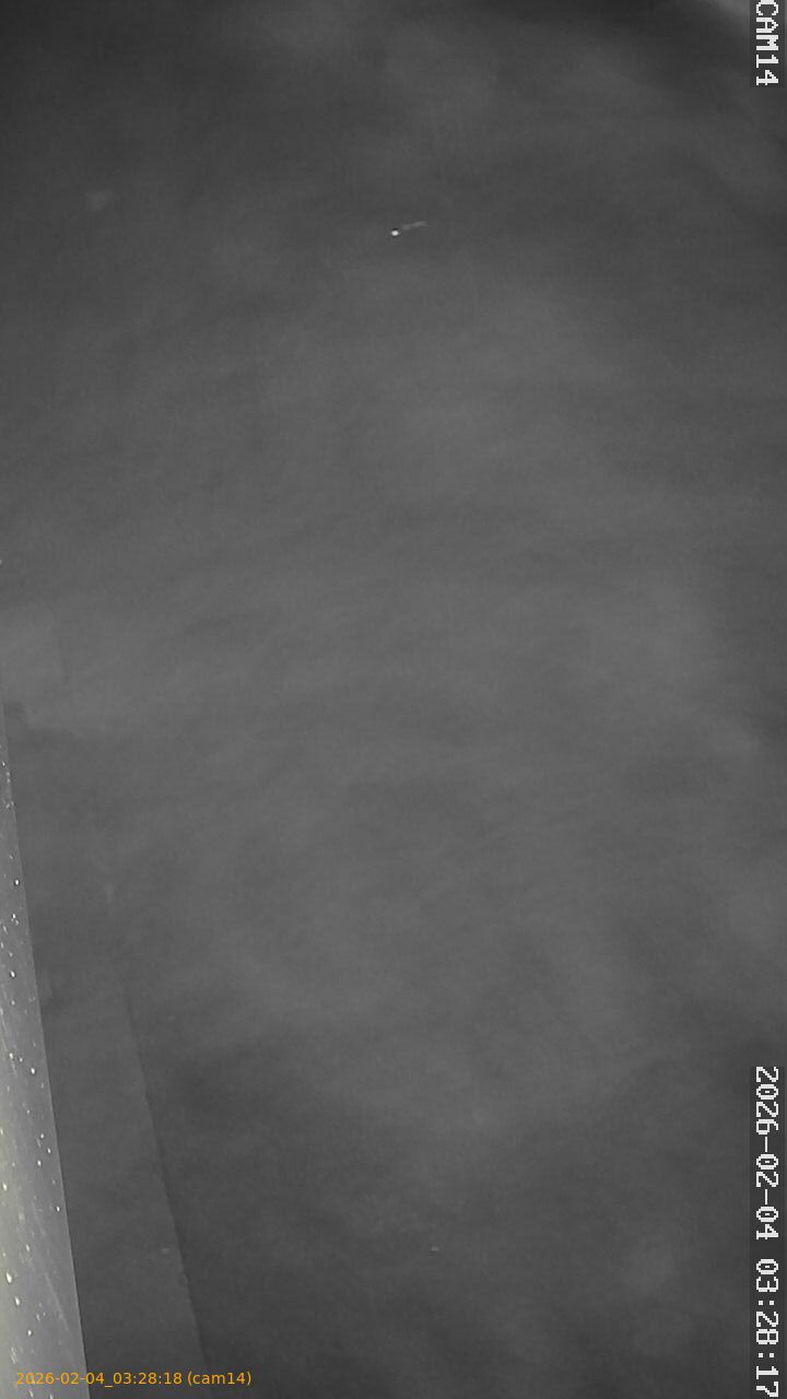 thumbnail_20260204032818