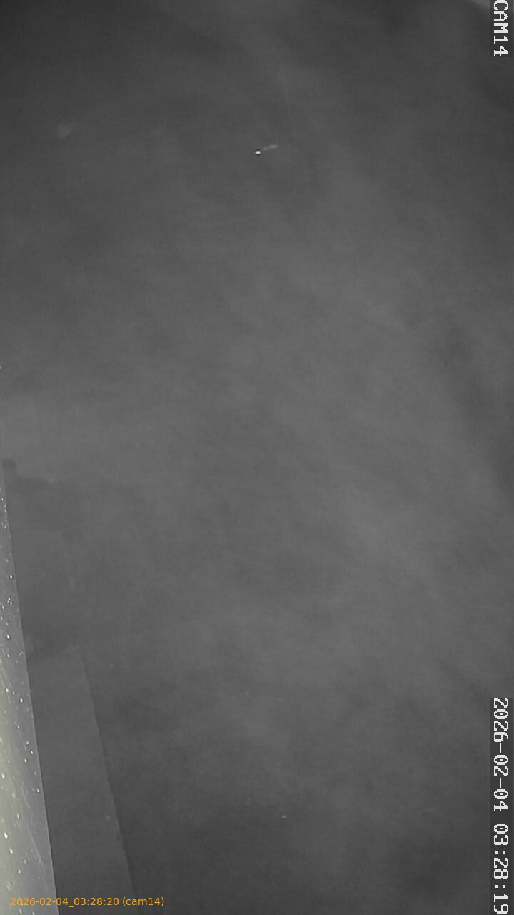 thumbnail_20260204032820