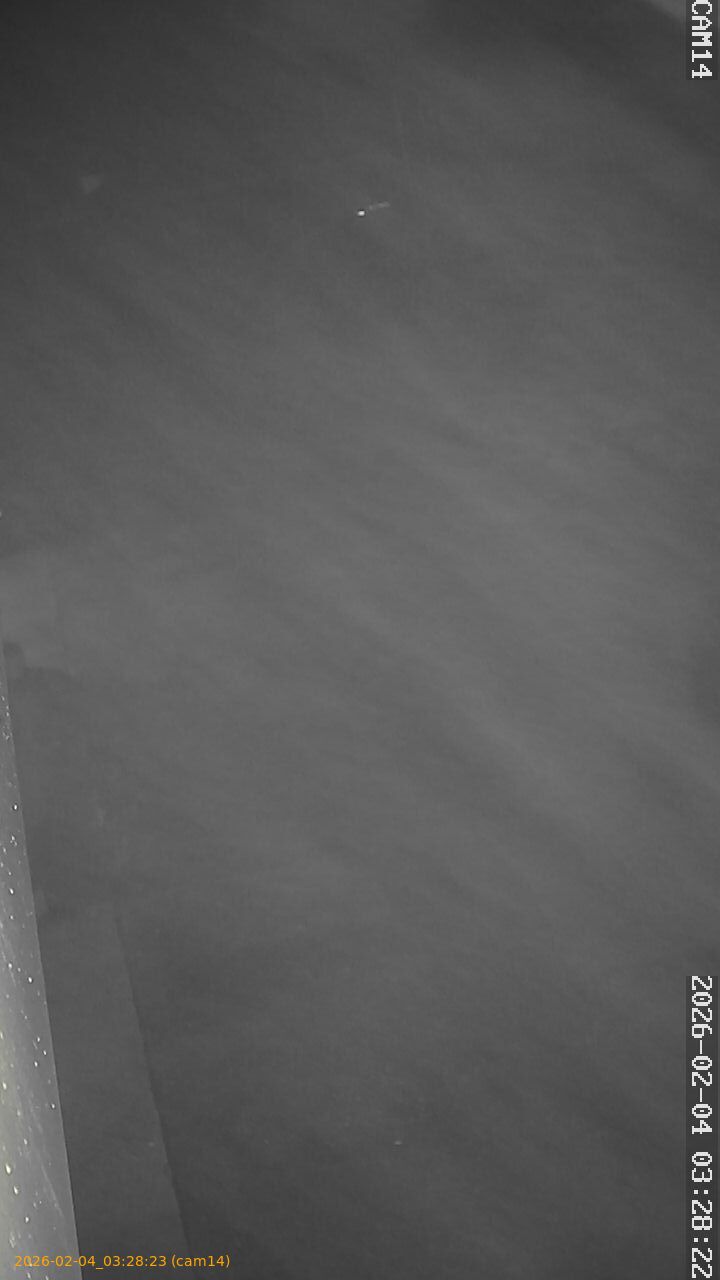 thumbnail_20260204032823