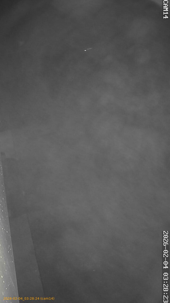 thumbnail_20260204032824