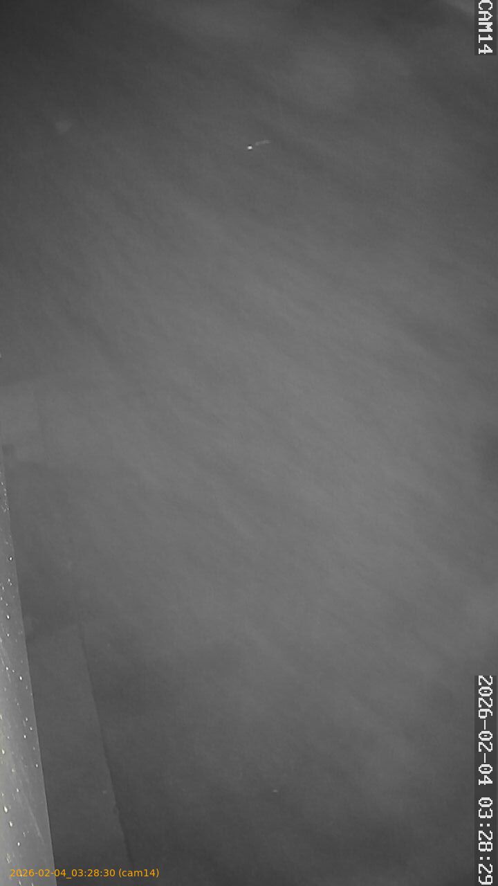 thumbnail_20260204032830