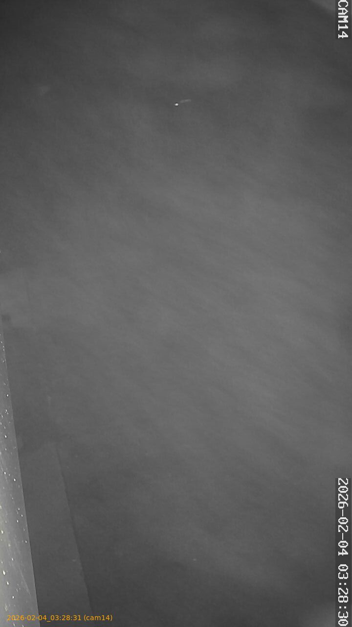 thumbnail_20260204032831