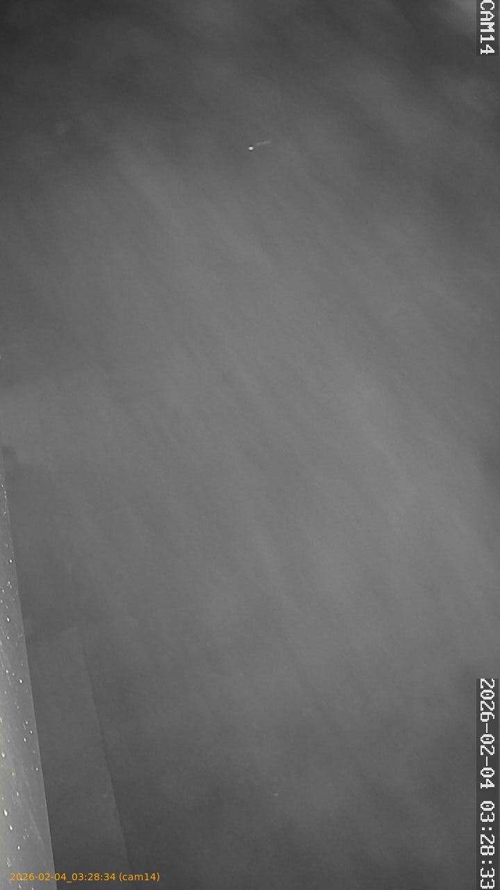 thumbnail_20260204032834