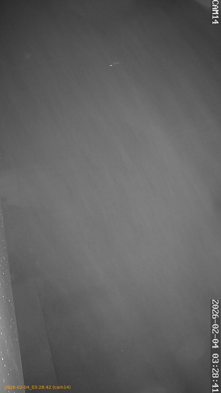 thumbnail_20260204032842