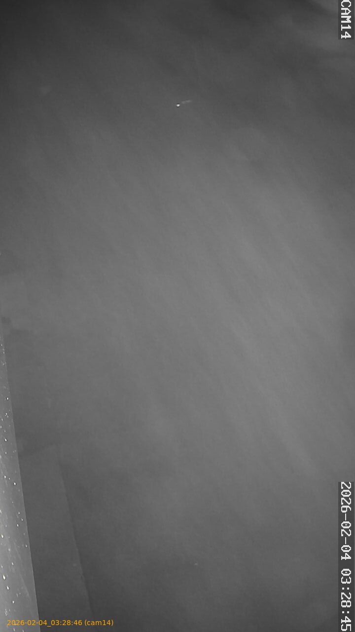 thumbnail_20260204032846