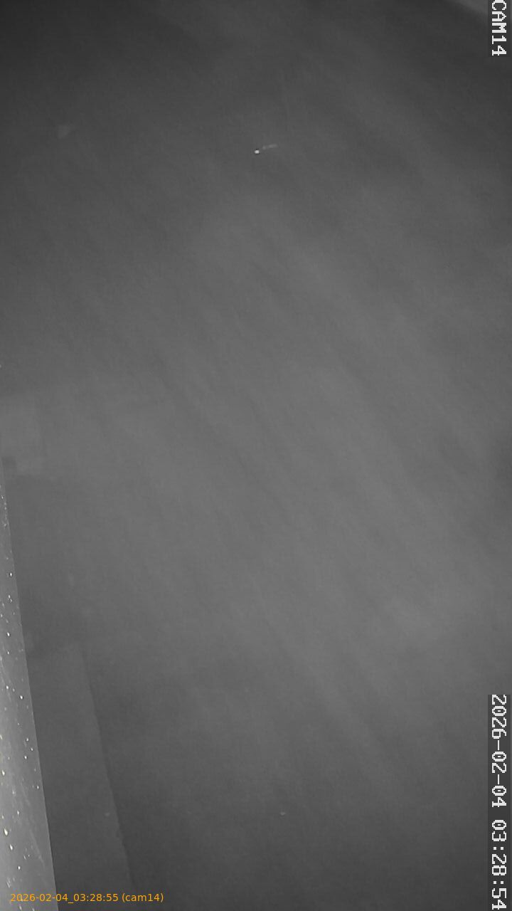 thumbnail_20260204032855