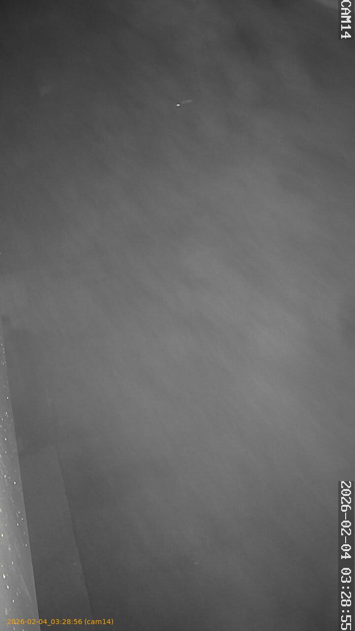 thumbnail_20260204032856