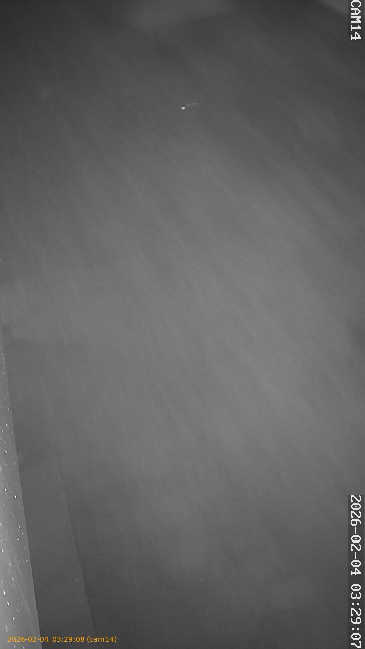 thumbnail_20260204032908