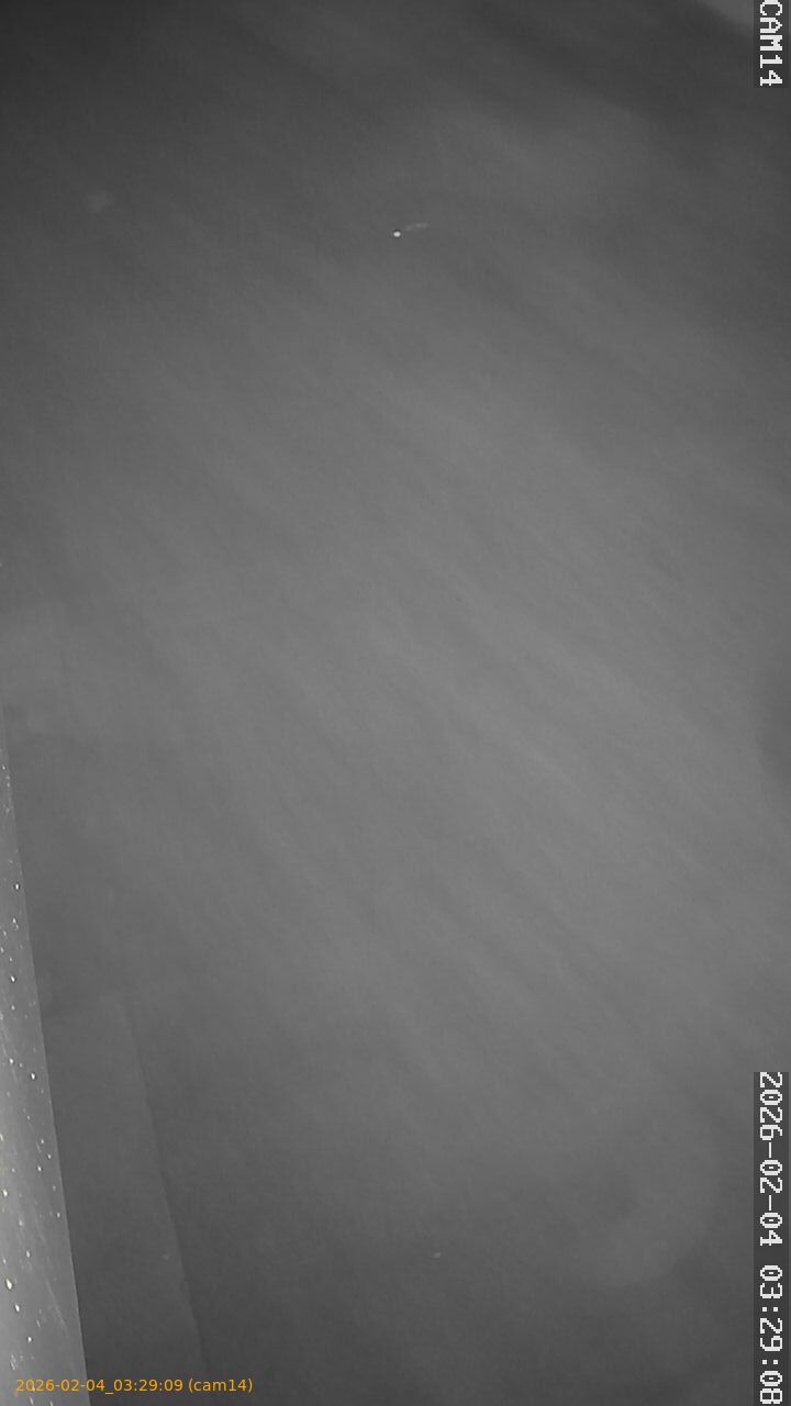 thumbnail_20260204032909