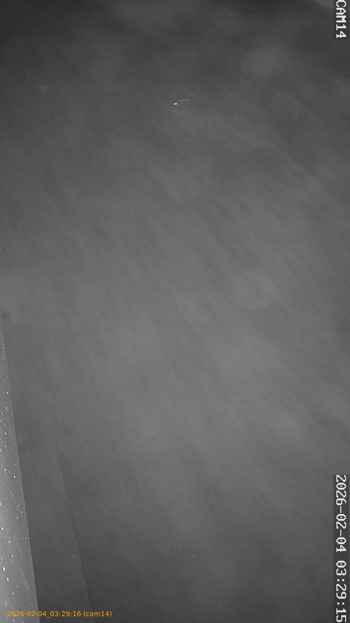 thumbnail_20260204032916