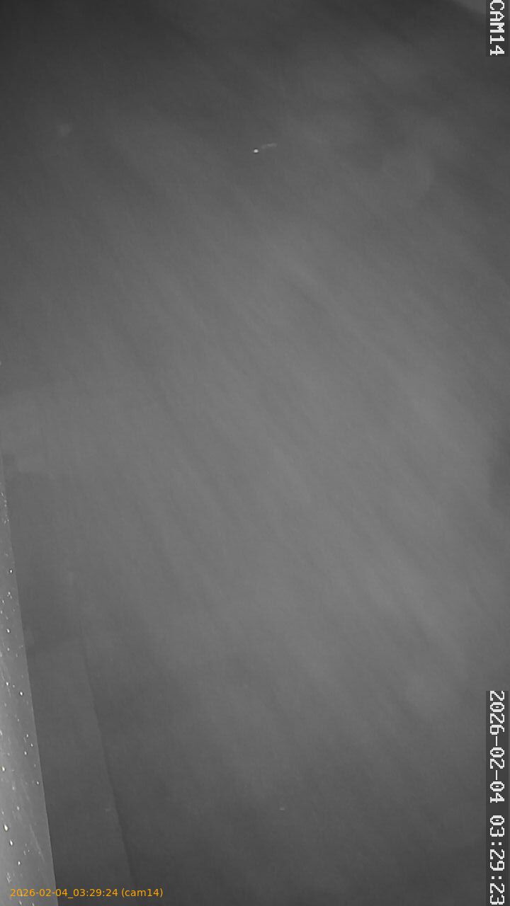 thumbnail_20260204032924