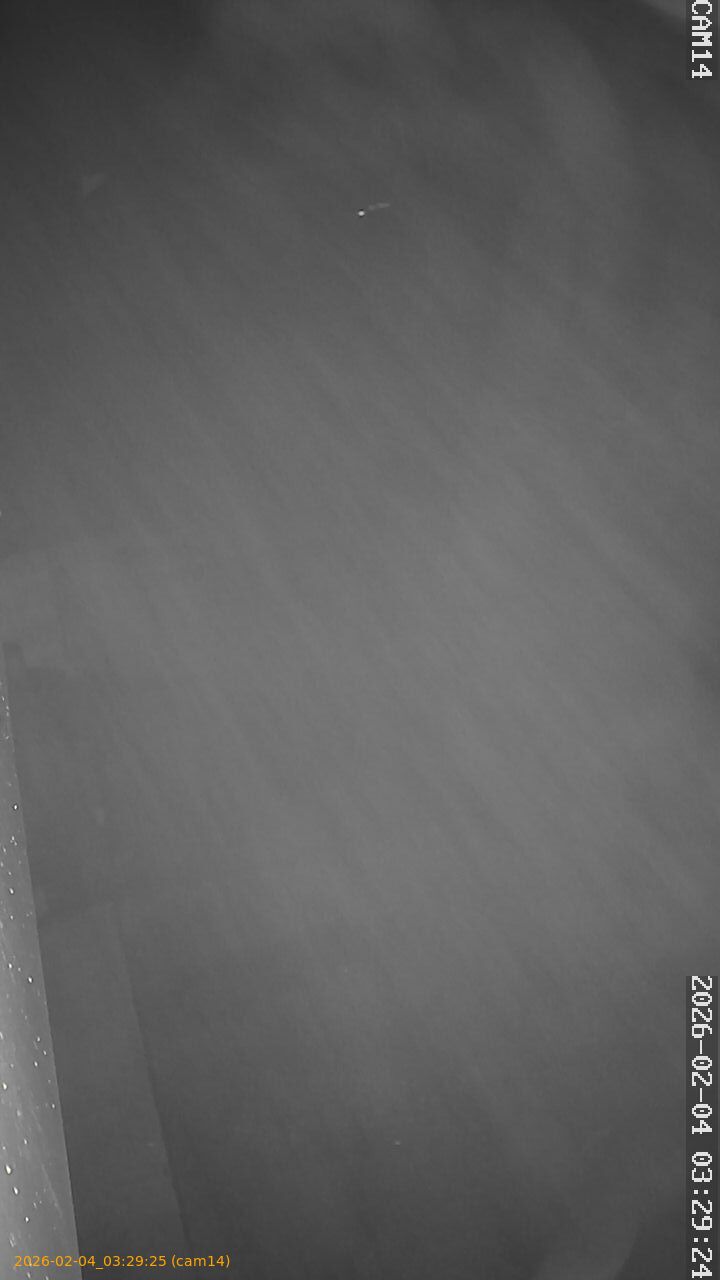 thumbnail_20260204032925