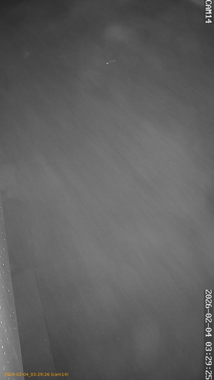 thumbnail_20260204032926