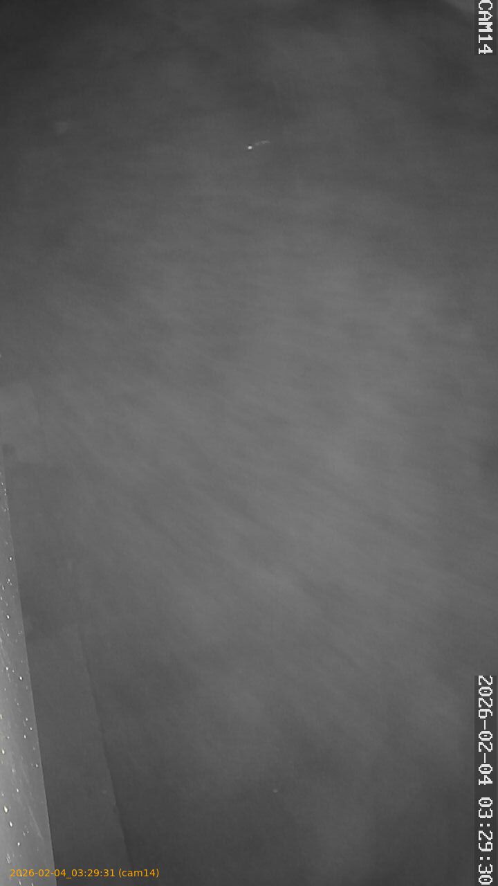 thumbnail_20260204032931