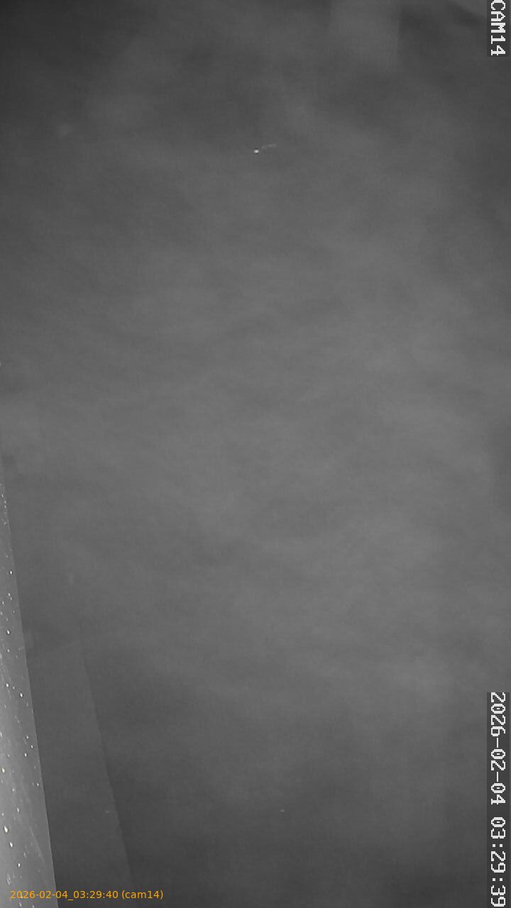 thumbnail_20260204032940