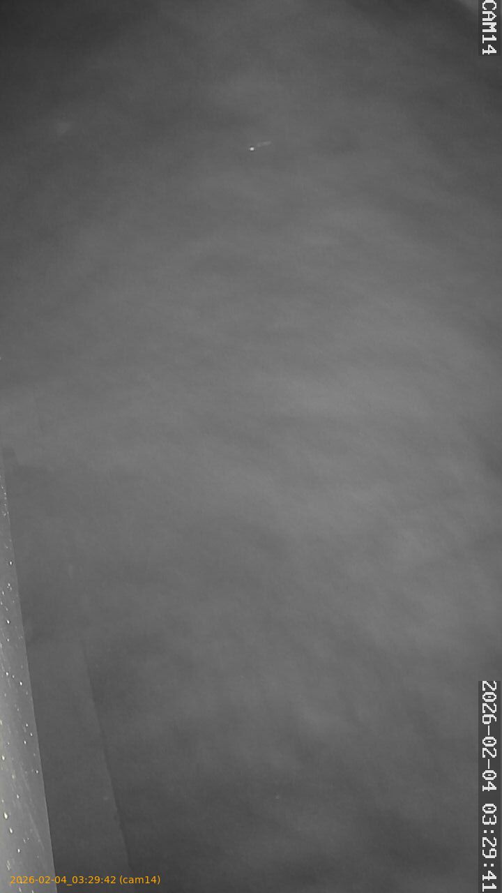 thumbnail_20260204032942