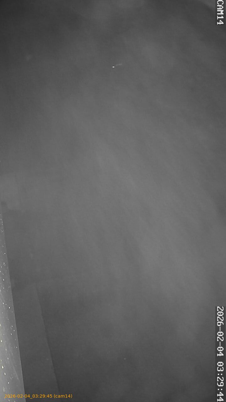 thumbnail_20260204032945