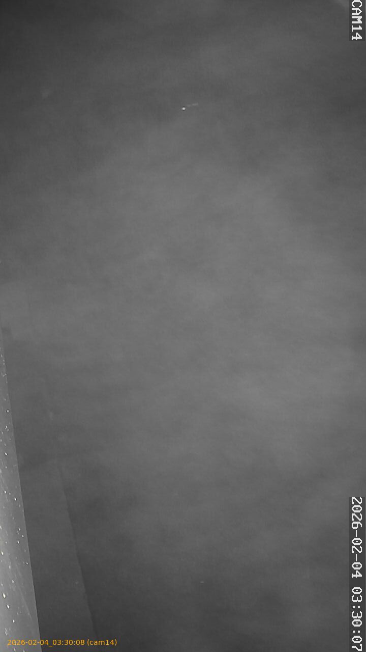 thumbnail_20260204033008