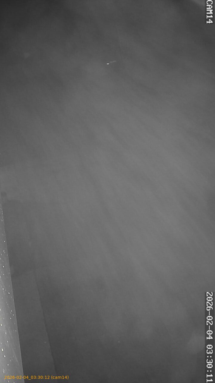 thumbnail_20260204033012