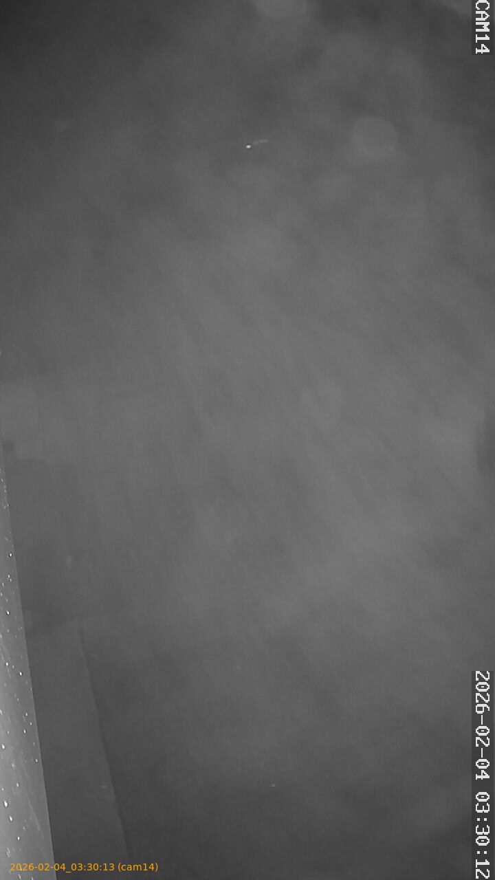 thumbnail_20260204033013