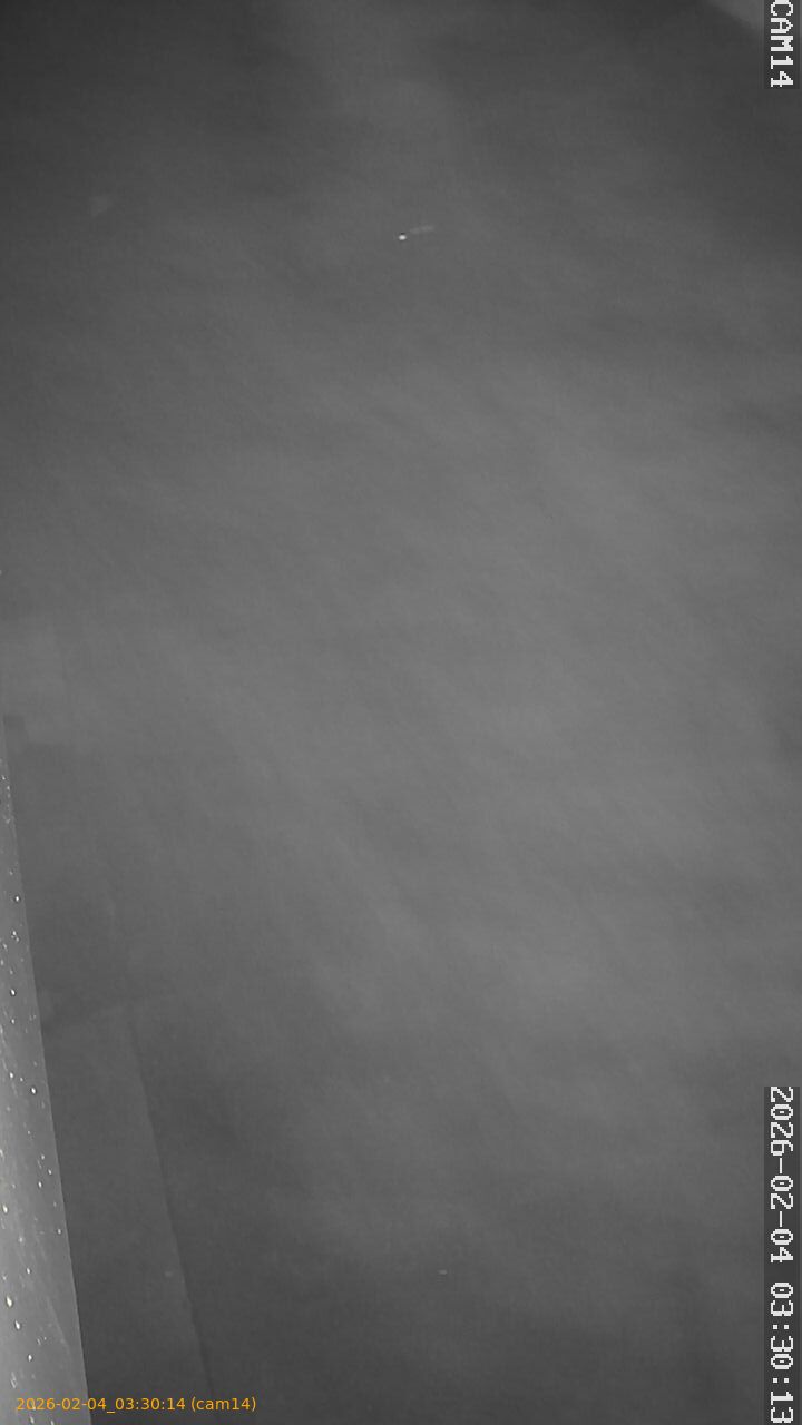 thumbnail_20260204033014