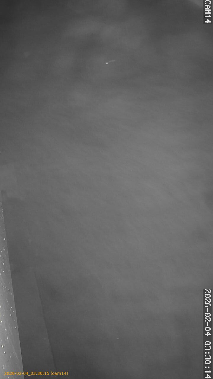 thumbnail_20260204033015