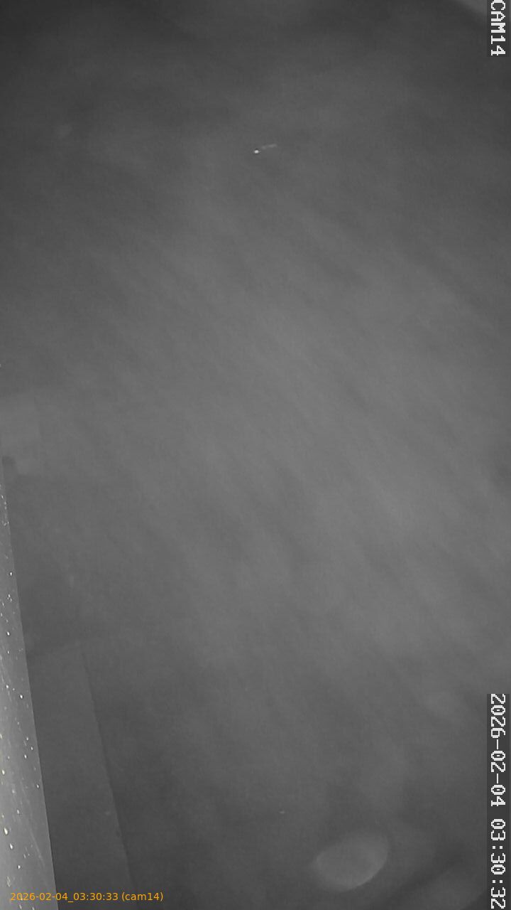 thumbnail_20260204033033