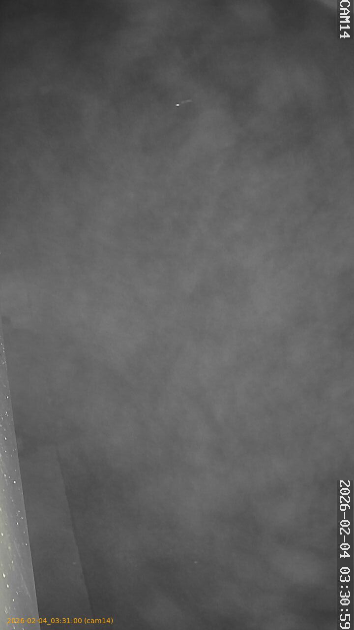 thumbnail_20260204033100