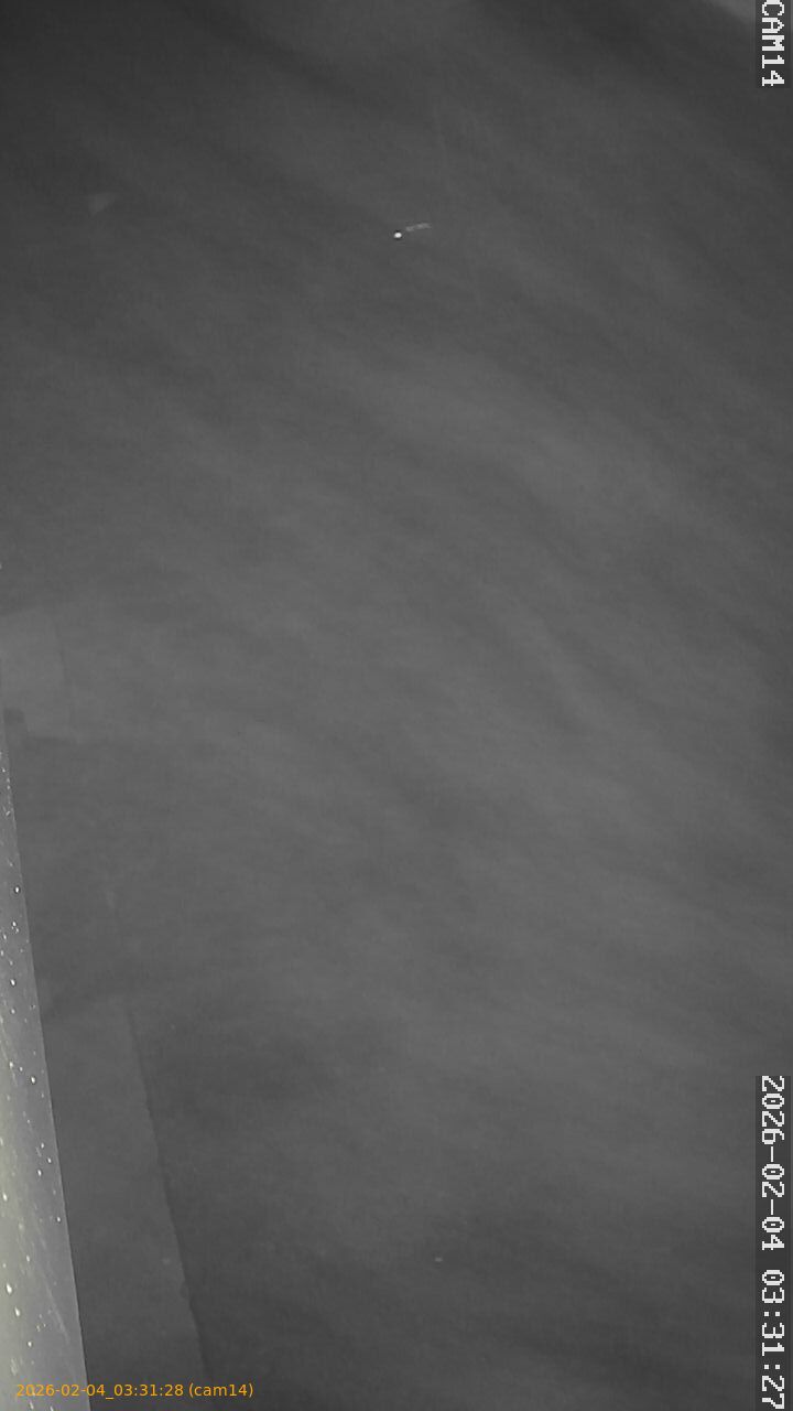 thumbnail_20260204033128