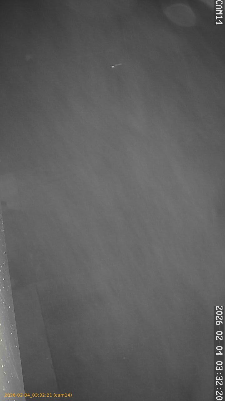 thumbnail_20260204033221