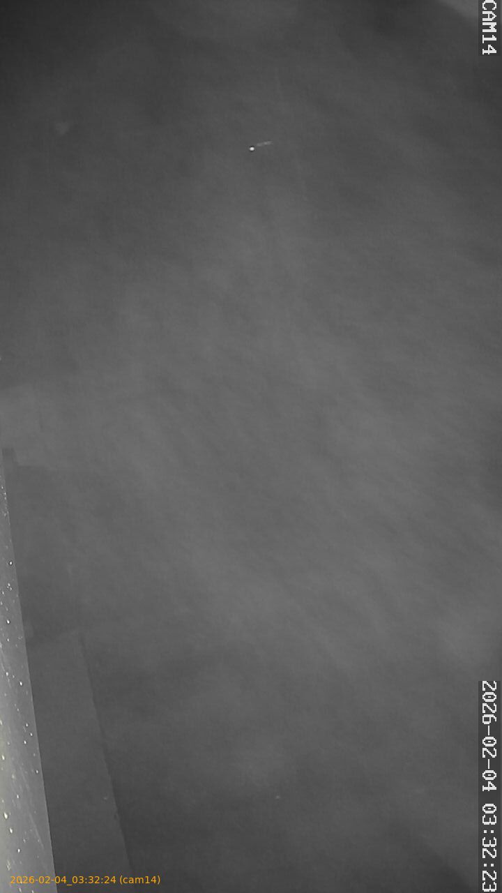 thumbnail_20260204033224