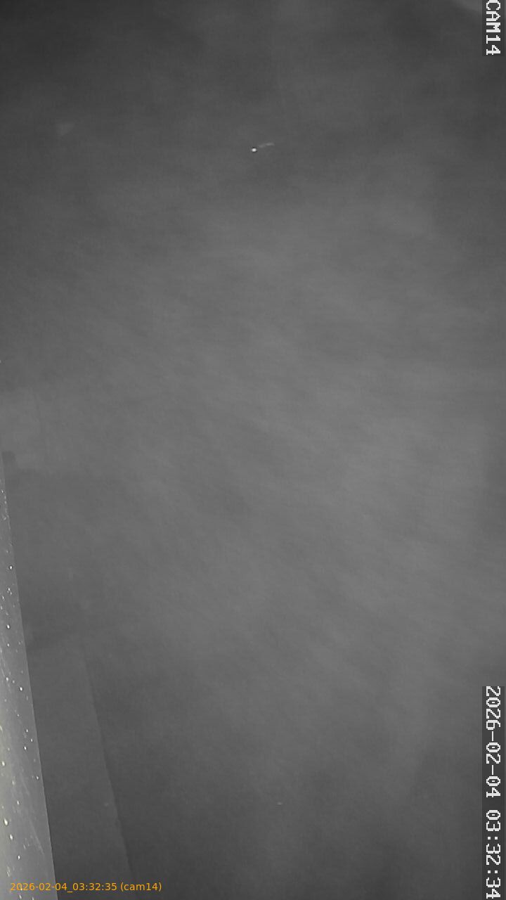 thumbnail_20260204033235