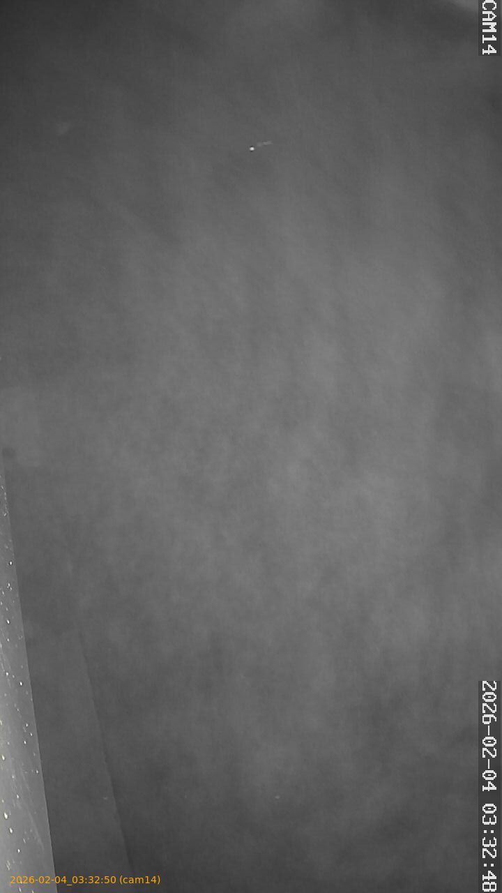 thumbnail_20260204033250