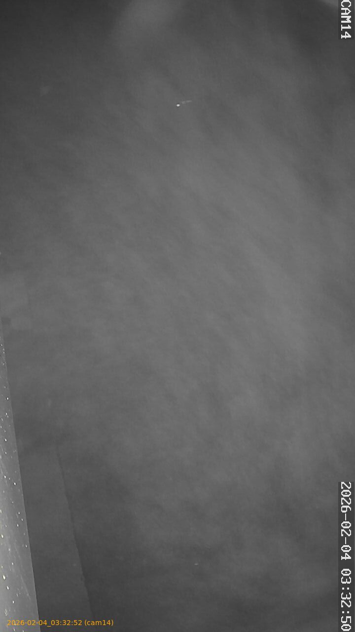 thumbnail_20260204033252