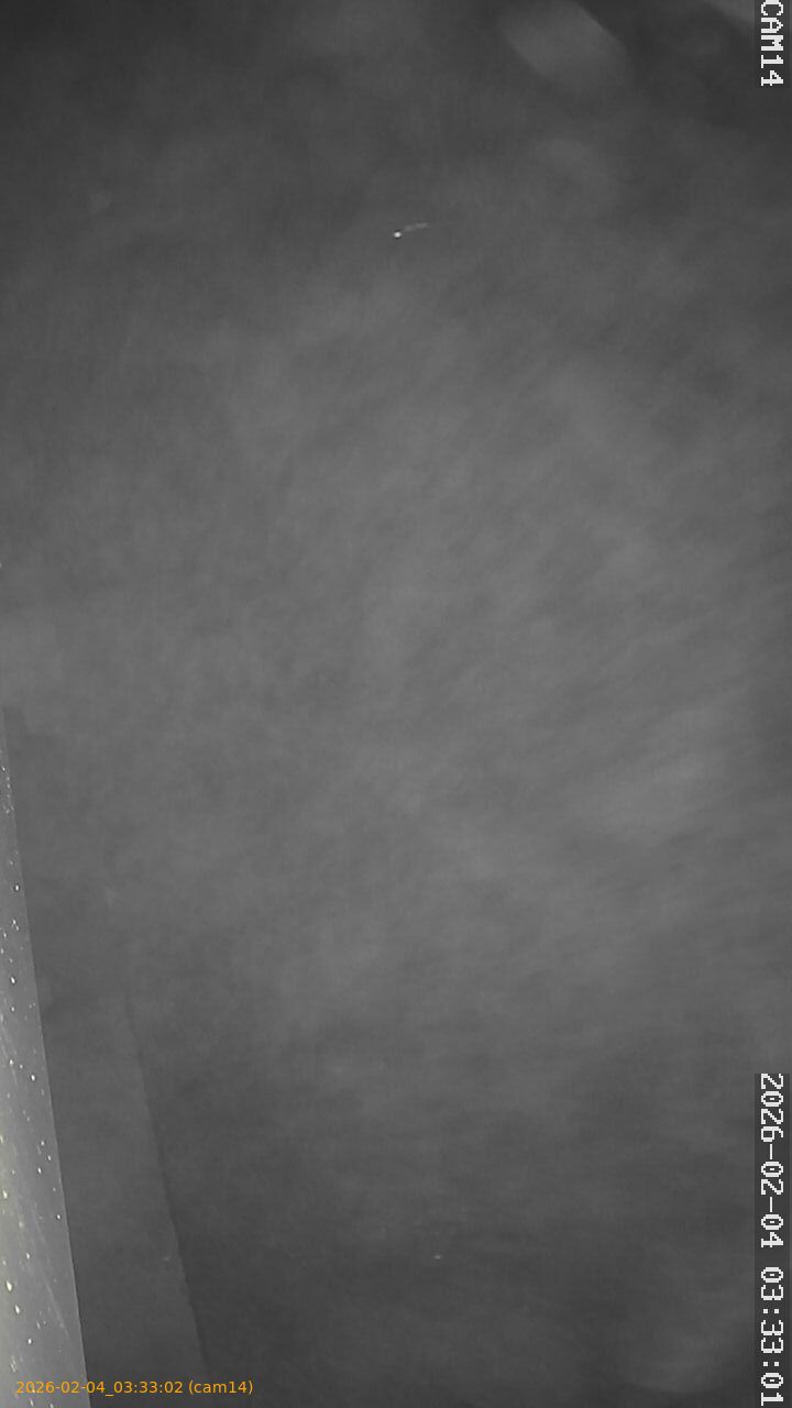 thumbnail_20260204033302