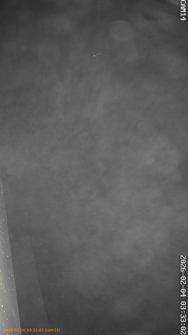 thumbnail_20260204033303