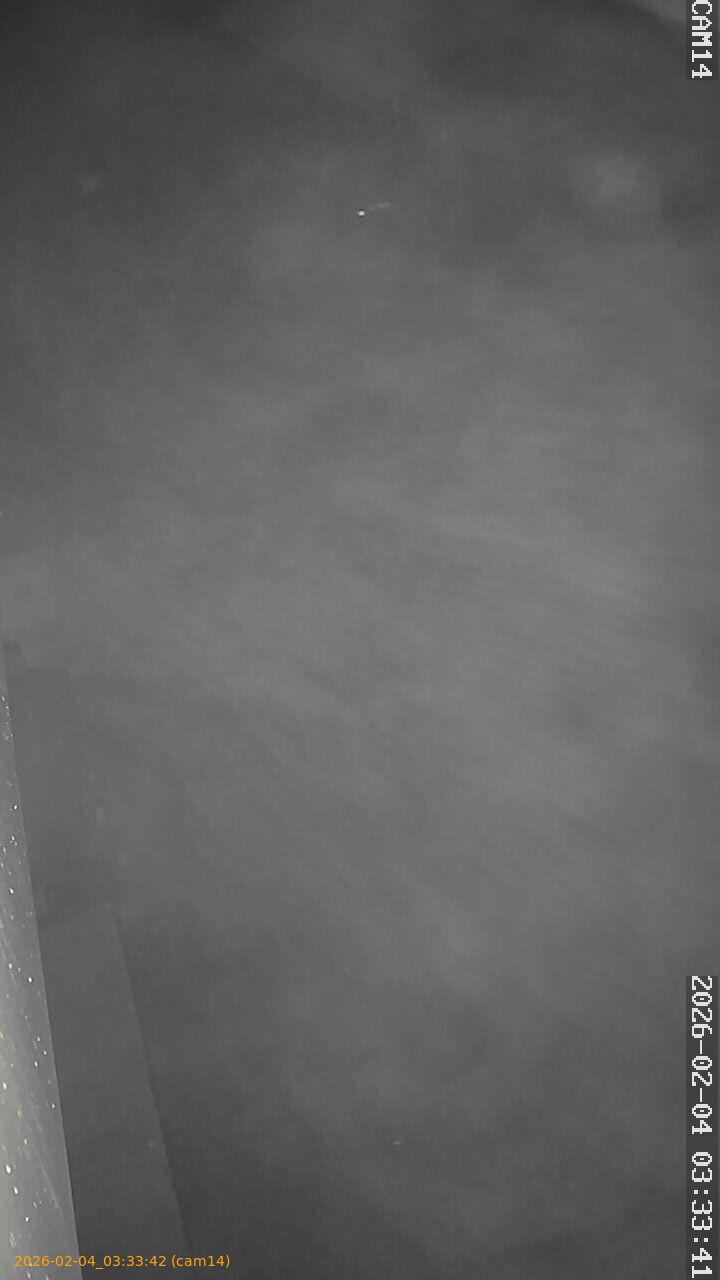 thumbnail_20260204033342