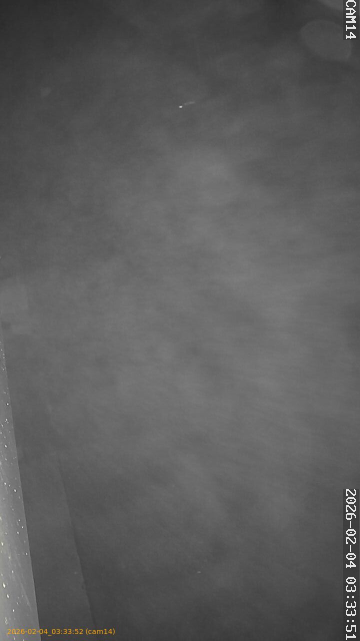 thumbnail_20260204033352