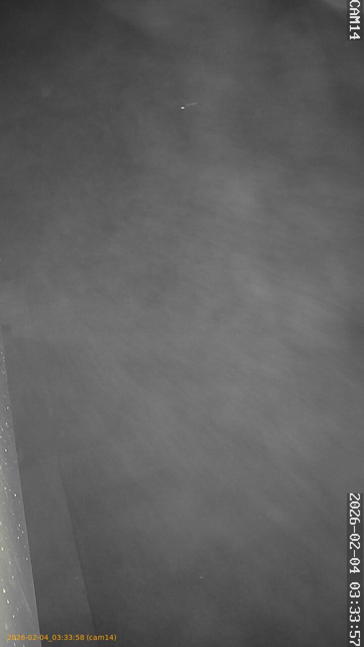 thumbnail_20260204033358